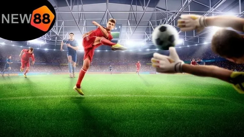 Cách tối ưu hóa cơ hội thắng cược tới từ việc soi kèo New88