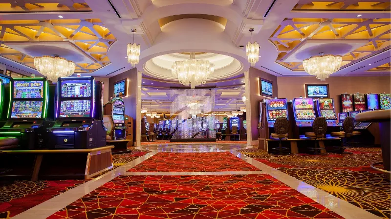 Tổng quan về Dom88