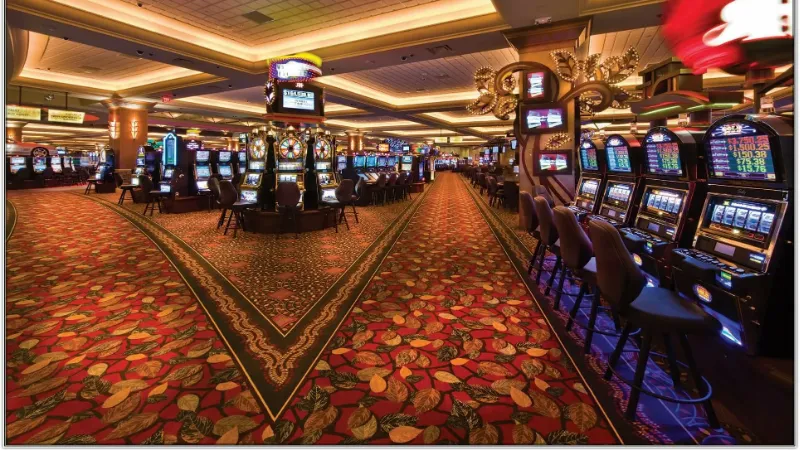 Hệ Thống Cá Cược Của Nhà Cái Q8