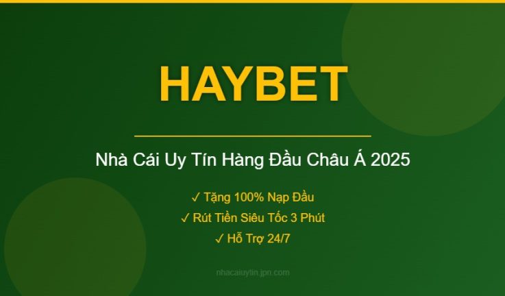HAYBET – Đánh Giá Chi Tiết Nhà Cái HAYBET Mới Nhất 2026